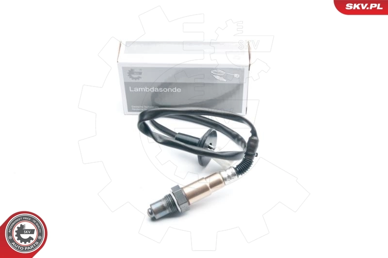 Oxygen Sensor